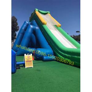 Quality hippo giant inflatable water slide for kids and adults for sale
