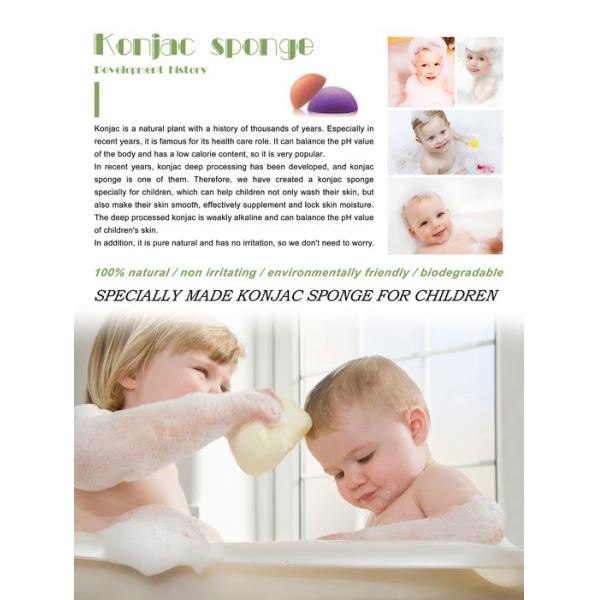 Customerized Logo Shell Shape Body Konjac Sponge Organic
