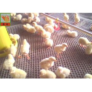 Hexagonal Extruded Plastic Netting, Extruded Plastic Netting, HDPE Materials,