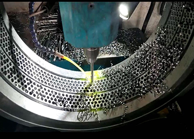 2-3t/h Pellet Mill Ring Die
