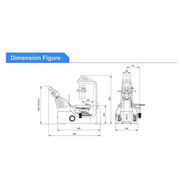 OPTO EDU A16.1063 LED Inverted Fluorescence Microscope