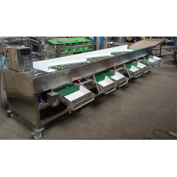 onion sorting machine, onion grading machine, onion sorter grader