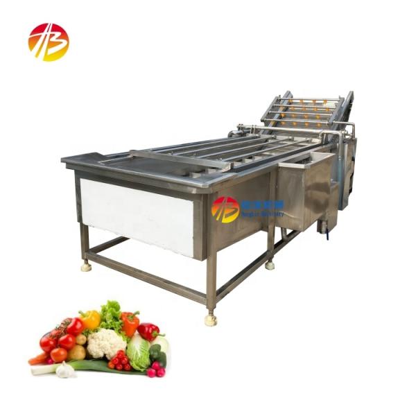 Industrial Fruit Seafood Cleaning Machine with Advanced Bubble Washing Technology