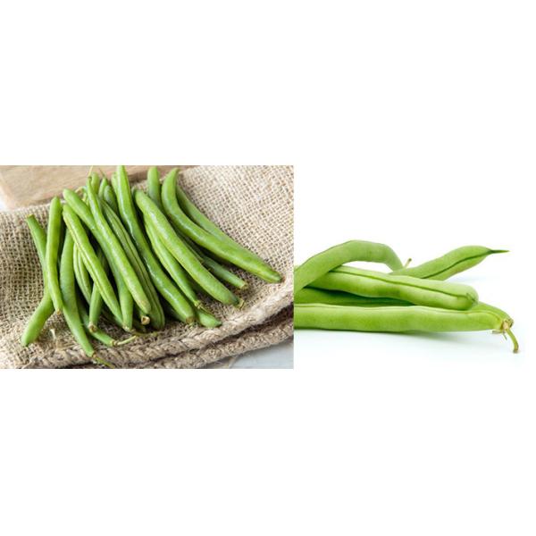 Vacuum Type Stringless Bean Fryer Machine Different Capacity With De-Oiling System