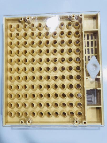 Queen Rearing Cupkit Box Queen Rearing System Cupularve For Beekeeping
