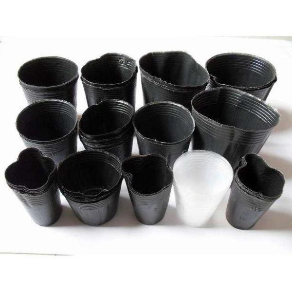 wholesale plastic flower pots