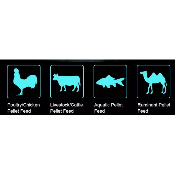 Animal Feed Cow Robbit Chicken Feed Pellet Making Machine Ring Die Type 5t/h