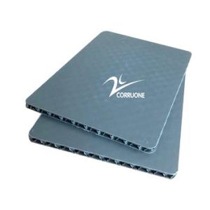 Custom Printing PP Honeycomb Sheet Environmentally Friendly and Recyclable