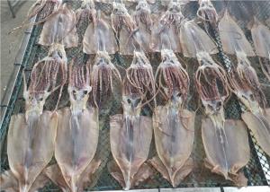 China 100% Natural Dried Illex Squid Whole Round 85g Fresh Frozen Squid on sale