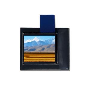 Quality 0.6 Inch Small OLED Screen For Wearable Devices for sale