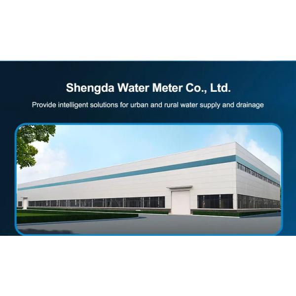 Digital Lora Small Smart Water Meter Not Wifi Wireless Remote Reading with Concentrator