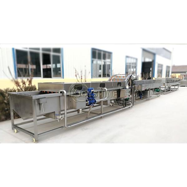 Tomato/Strawberry Cleaning Machine with Lifting Function and Multifunctional Function