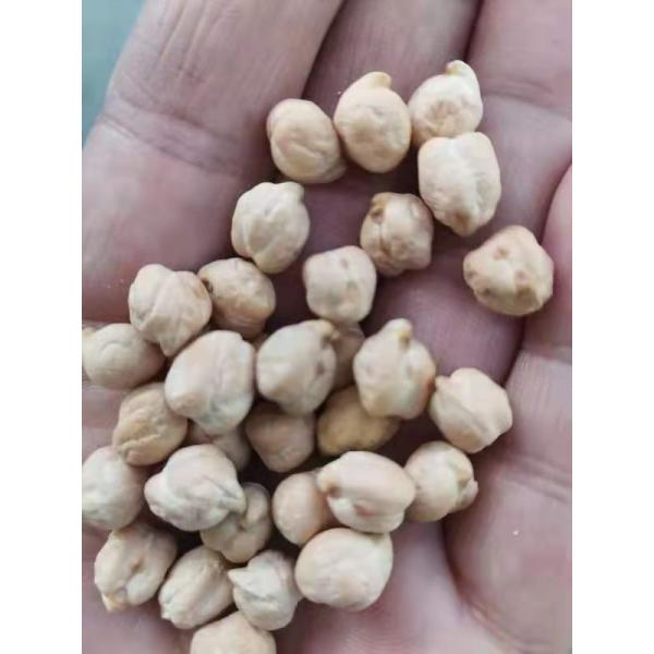 Chickpea peeling machine,chickpea peeler,chickpea hulling machine