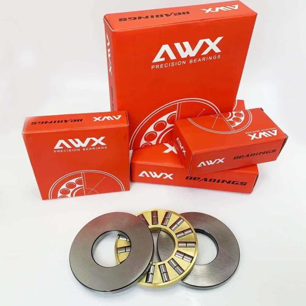 Single Row Thrust Roller Bearing