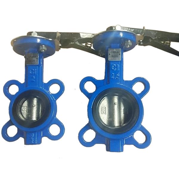 China GG20 cast iron DIN standard butterfly valve