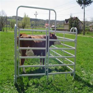 Quality Hot Dipped Galvanized Cattle Panels Yard Fence Panels Fit Australia And New Zealand for sale