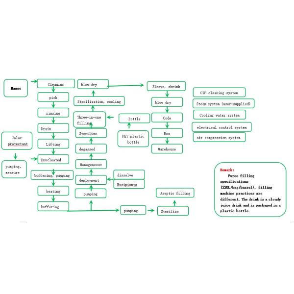 2t/H Mango Juice Processing Machine 300 - 500ml Bottle Packing