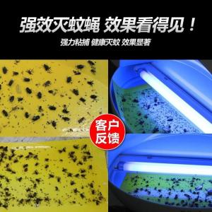Quality 12W Silent UV Light Insect Trap Sticky Glue Commercial electrical Mosquito Killer Lamp CE ROHS in copper color for sale
