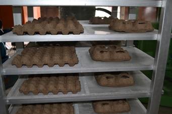 Aluminum Molds Forming Egg Paper Tray Making Machine Computer Controlled