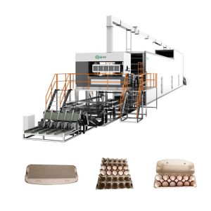 Quality Automatic Waste Paper Egg Box Machine Pulp Molding Equipment for sale