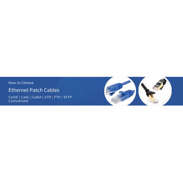 1m PVC Jacket Cat 6a Patch Cables UTP Stranded Copper Blue Customized Length