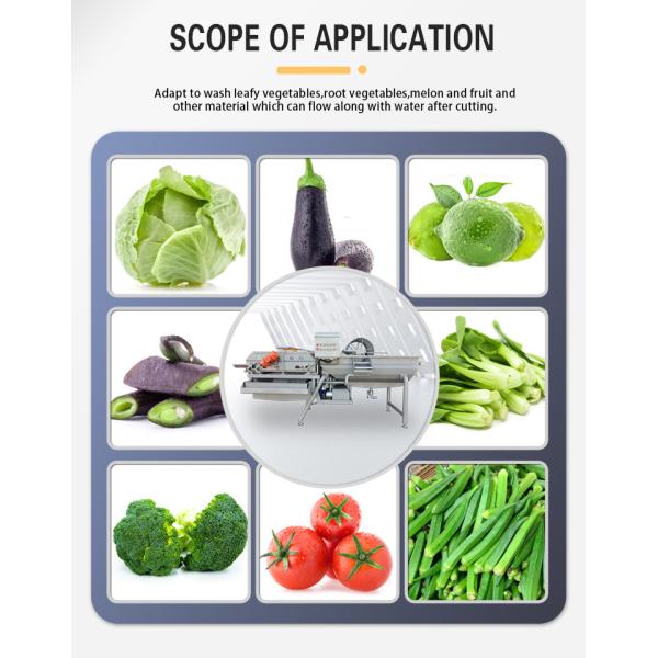 ISO9001 Fruit And Vegetable Processing Line , Air Bubble Washing Machine