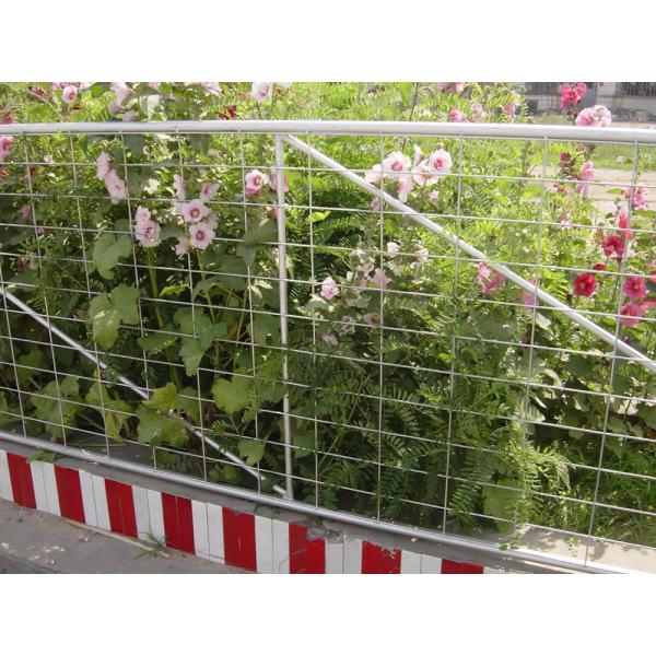 2400M X 1170MM 1 vertical tube10ft 12ft 14ft galvanized 25 NB N Stay Farm Gate Fence for Australia