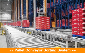 Single Deep pallet Stacker Crane ASRS, Floor Supported SRM(Storage Retrieval Machine), Automatic Storage And Retrieval System,Automation Logistics