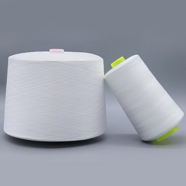 Manufacture Produce Spun Polyester Yarn OEM Raw White 60/2 with Chemical Resistance