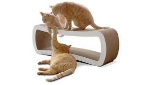 Quality Rectangular Cat Scratch Lounge Stable , Chaise Lounge Cat Scratcher Modern Style for sale