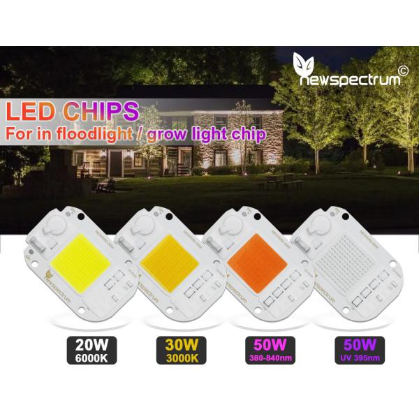 Cool White RGB LED Module 30W 220V LED COB Chip Color Temperature 6500K