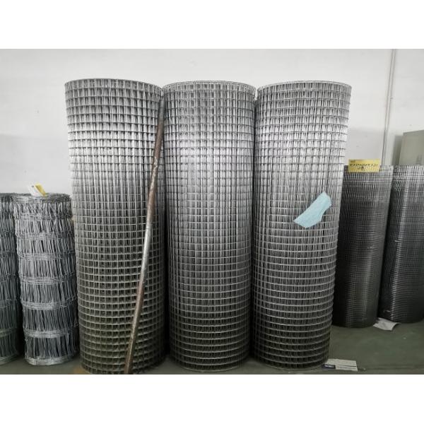 Oem Galvanized White Welded Mesh Rolls 25.4mm X 25.4mm