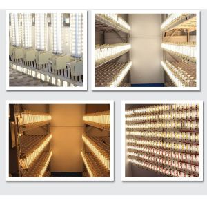 7W LED R7S corn light SMD3014 78mm LED R7S light 360 degree J78mm R7S lamp