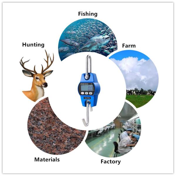 30kg-300kg Capacity OCS Mini Bluetooth Digital Hanging Crane Scale with LED/LCD Display and OEM/ODM Customization Support