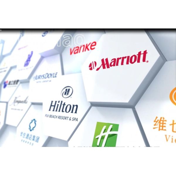 Contemporary Hotel Lobby Furniture Collection with Durable Wood