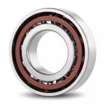 Vibration V1 V2 V3 V4 Angular Contact Ball Bearing 7007C and Affordable