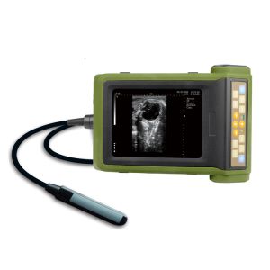 Quality RKU10 Veterinary Wireless Ultrasound Scanner Diagnostic Instruments B Mode for sale