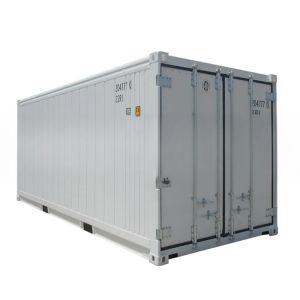 20ft Reefer Container Thermo King Refrigerated Cooler with External Dimensions