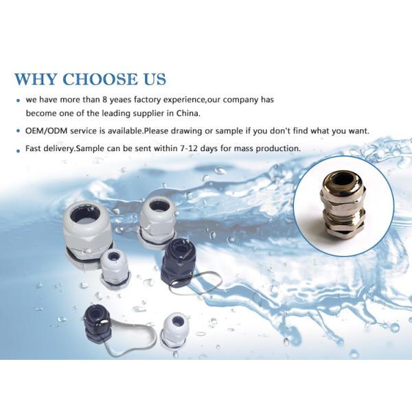 PG Series Plastic Cable Waterproof Connector For Wire Fixed Head Gland