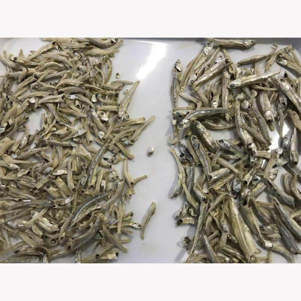 CCD Seafood Color Sorting Machine Stainless Steel Seafood Color Sorter