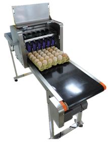Quality Eggs Continuous Inkjet Printer With Date Automatically Updated Programme for sale
