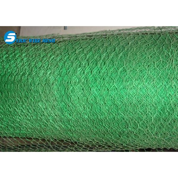 PVC Coated Hexagonal Wire Mesh for Chicken for Animal (ER-PC230)