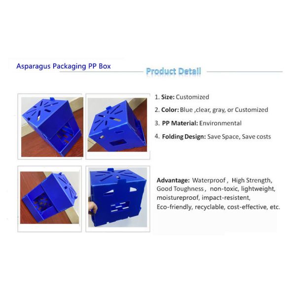 Environmental Heavy Duty 3mm Coroplast Storage Boxes