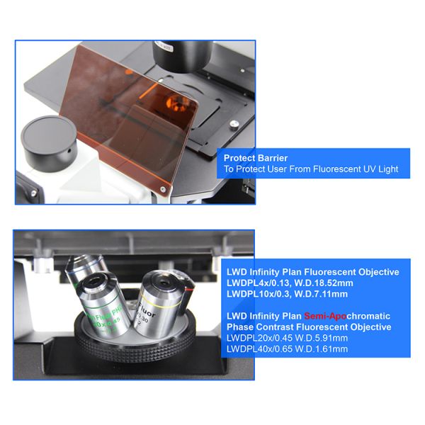 CE Semi Apo OPTO EDU Inverted Fluorescence Microscope
