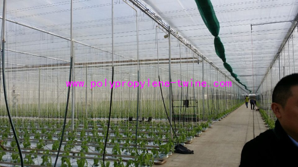 Twisted Gardening Greenhouse Packing String Tomato Tying Twine 2kg-5kg Rolls