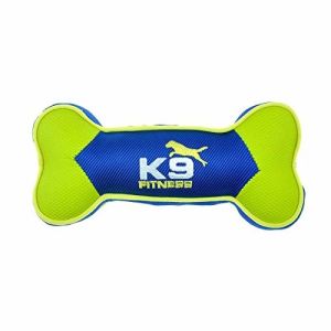 Quality K9 Fitness Nylon Dog Tough Chew Toys Multiple Shapes Built For Chewers for sale