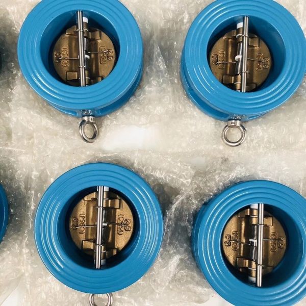 Design Api 594 Industrial Retainerless Ductile Cast Iron Wafer Dual Plate Non Return Check Valve