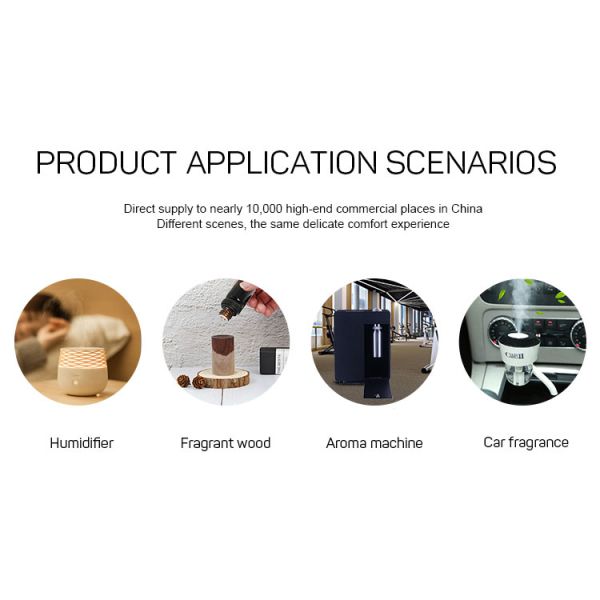 Arab Fragrance Cologne Greasy Aromatherapy Essential Oils For Ultrasonic Bluetooth Humidifier