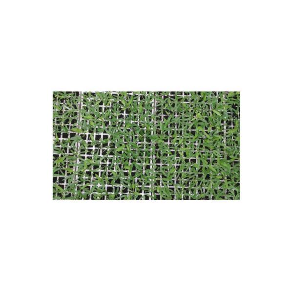EPS / EVA / EPE / EPP Material 200 Well Seedling Tray Eps200 agriculture nursery tray