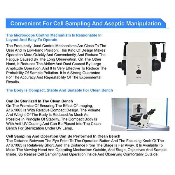 OPTO EDU A16.1063 LED Inverted Fluorescence Microscope
